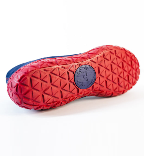 Dake Pro Blue Wrestling Shoe